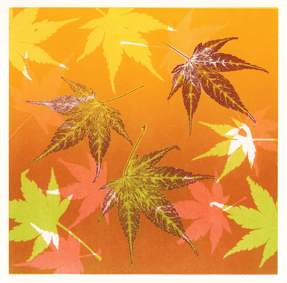 Day 24 Japanese maple no1