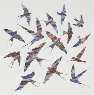As-Swift-as-Swallows-Fly