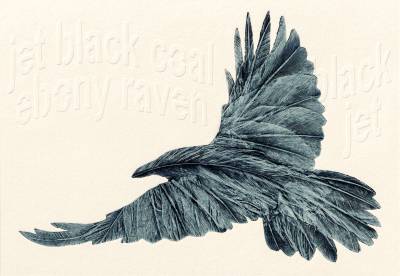 Rebel Raven