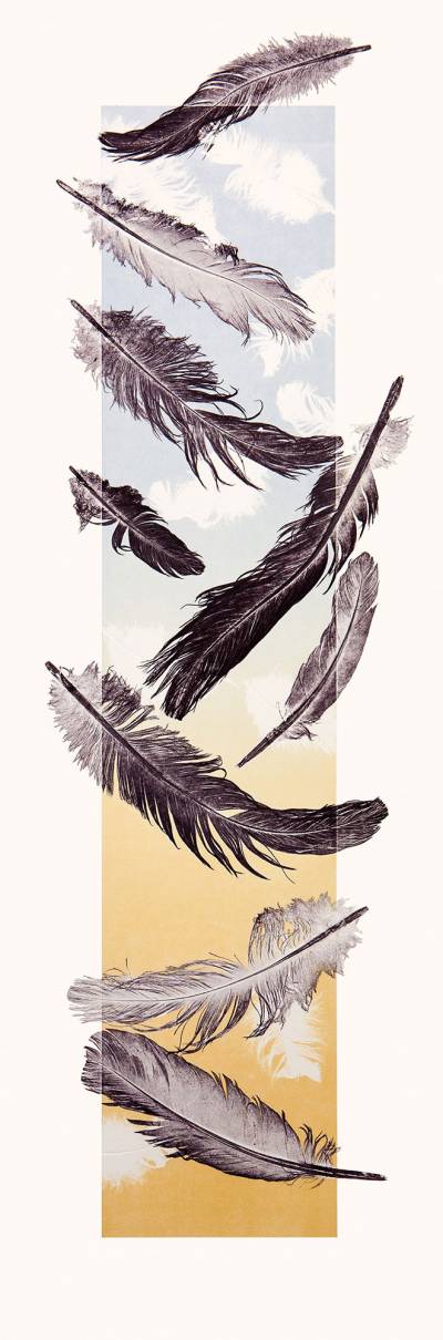 Feathers-Floating-II