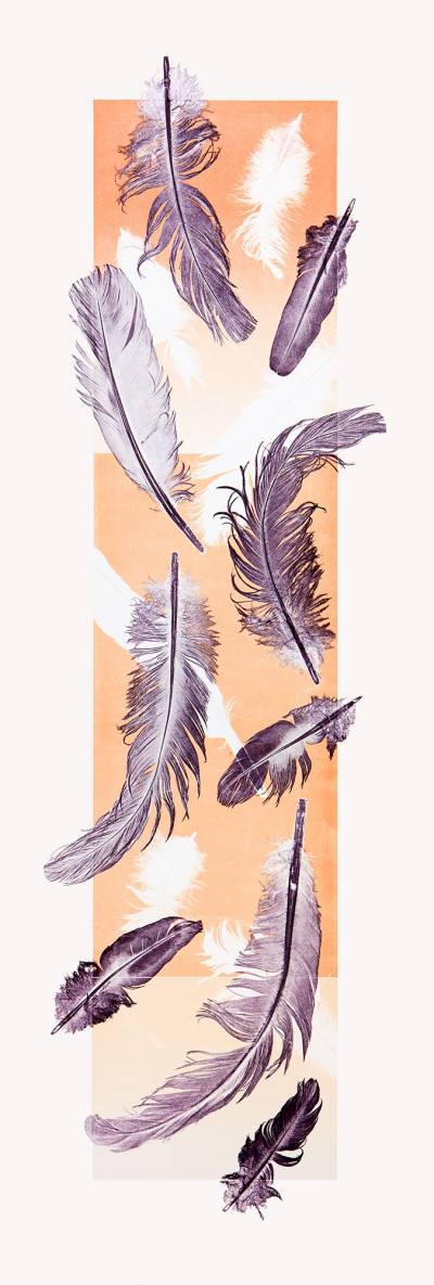 Feathers-Floating-III