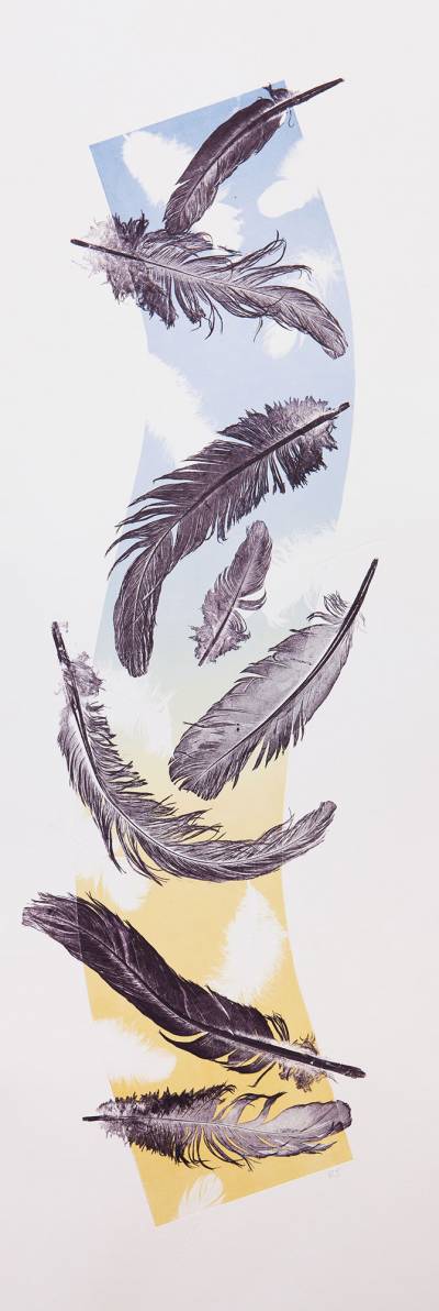 Feathers-Floating-IV