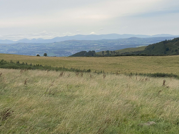 The uplands of the Clwydian Range. Inspiration for one of my latest prints.