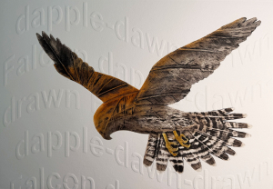 The Windhover