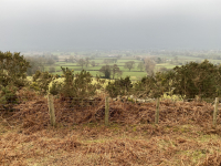 View from Moel Famau Country Park looking across the Vale of Clwyd.